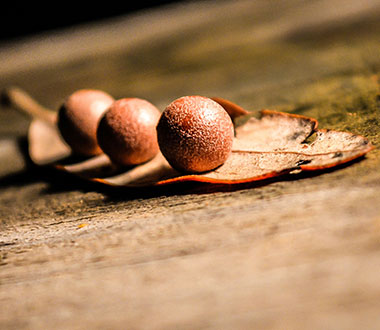 ddos压力在线测试平台